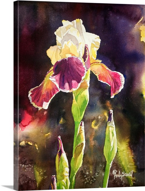 Iris Light Art Print - 12"x16" a signed edition giclee art print from an original watercolor of Iris
