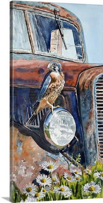 "Kestrel Patina" - 11"x22" canvas or paper Giclée art print from a watercolor