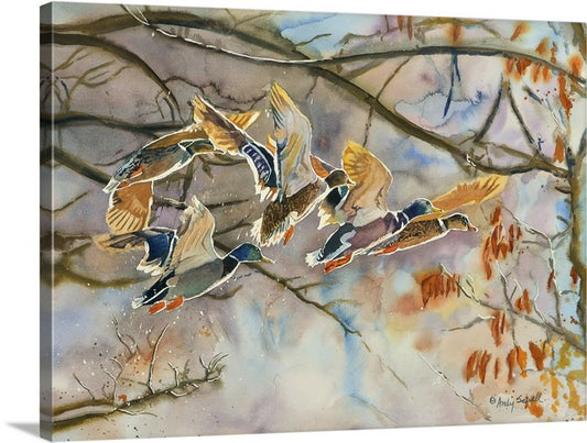 "Mallards Aglow" - An Original or open edition Giclee art print from an Original watercolor