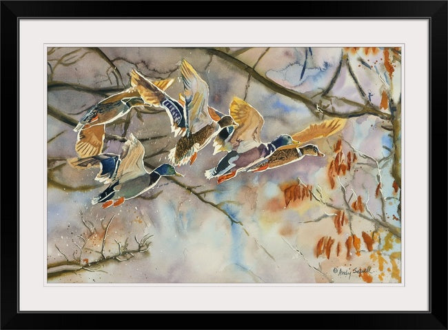 "Mallards Aglow" - An Original or open edition Giclee art print from an Original watercolor