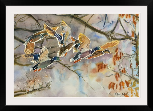 "Mallards Aglow" - An Original or open edition Giclee art print from an Original watercolor