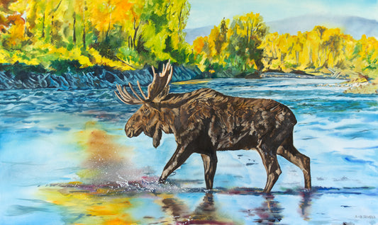 "Moose Crossing" - 58"x34" Giclee print on Canvas, or Fine art Paper Giclée reprod.