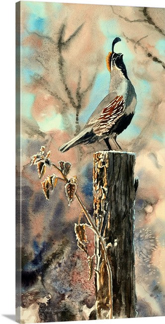 "Quail Morning Call" A ltd. edition s/n Giclee watercolor print of California quail art - by Andy Sewell