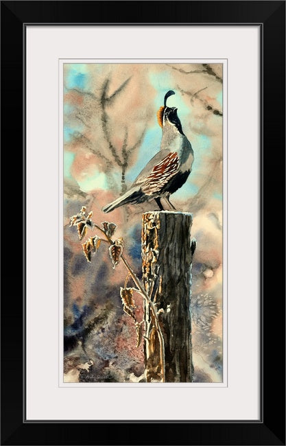 "Quail Morning Call" A ltd. edition s/n Giclee watercolor print of California quail art - by Andy Sewell