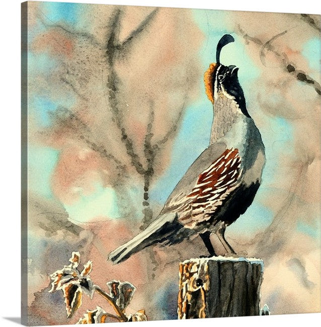 "Quail Morning Call" A ltd. edition s/n Giclee watercolor print of California quail art - by Andy Sewell