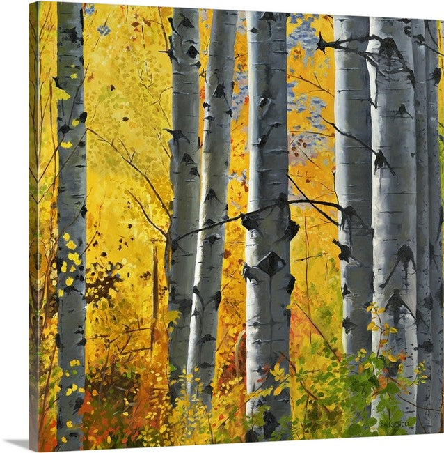 "October Gold" - Canvas Giclée art print of oil painting of Yellow Aspen trees in the fall