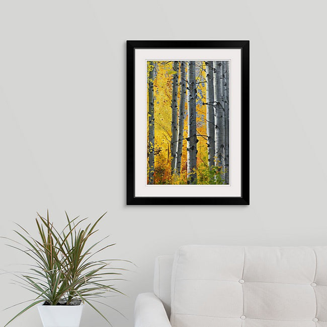 "October Gold" - Canvas Giclée art print of oil painting of Yellow Aspen trees in the fall