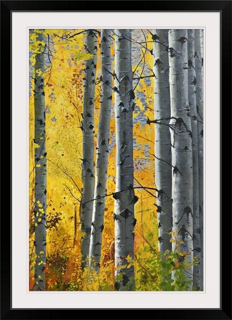 "October Gold" - Canvas Giclée art print of oil painting of Yellow Aspen trees in the fall