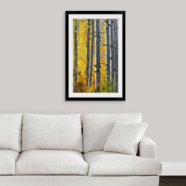 "October Gold" - Canvas Giclée art print of oil painting of Yellow Aspen trees in the fall