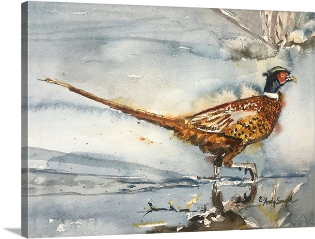 "Pheasant Splashes" - A signed edition Giclee watercolor print of Ringneck Pheasant