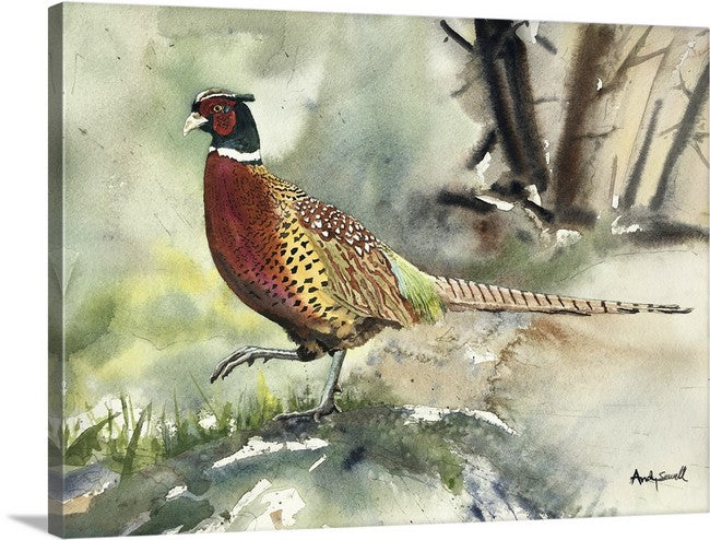 "Pheasant Strut" - A signed edition Giclee watercolor print of Ringneck Pheasant