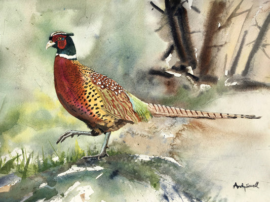 "Pheasant Strut" - A signed edition Giclee watercolor print of Ringneck Pheasant