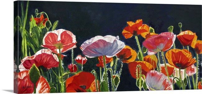 "Poppy Dance" - 16"x35" ltd. ed. s/n Giclee art print from an Original oil painting of poppies glowing in the sun - Andy Sewell