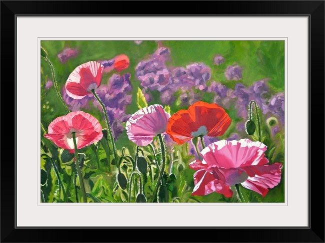 "Poppy Party" - 20"x 42" A signed edition Giclee art print from an Original oil painting of poppies glowing in the sun - by Andy Sewell