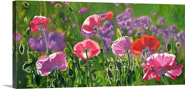 "Poppy Party" - 20"x 42" A signed edition Giclee art print from an Original oil painting of poppies glowing in the sun - by Andy Sewell
