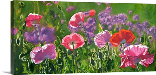 "Poppy Party" - 20"x 42" A signed edition Giclee art print from an Original oil painting of poppies glowing in the sun - by Andy Sewell