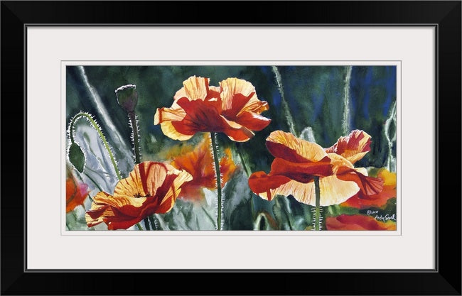 "Poppy Trio" - 21"x 48" A ltd ed. s/n Giclee art print from an Original watercolor of poppies glowing in the sun - by Andy Sewell