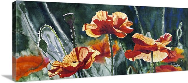"Poppy Trio" - 21"x 48" A ltd ed. s/n Giclee art print from an Original watercolor of poppies glowing in the sun - by Andy Sewell