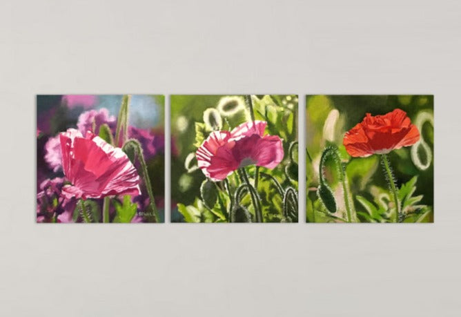 "Poppy Triplets - Purple" - 10"x10" signed Giclee art print from oil painting.