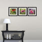 "Poppy Triplets - Pink" -  10"x10" signed Giclee art print from oil painting.