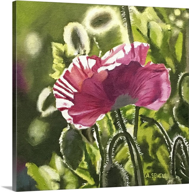 "Poppy Triplets - Pink" - 10"x10" signed Giclee art print from oil painting.