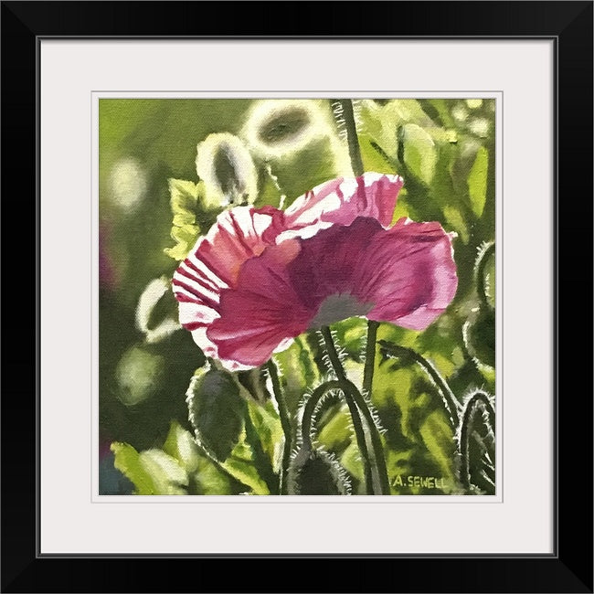 "Poppy Triplets - Pink" - 10"x10" signed Giclee art print from oil painting.