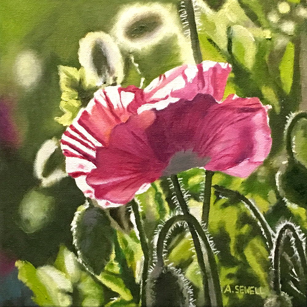 "Poppy Triplets - Pink" - 10"x10" signed Giclee art print from oil painting.
