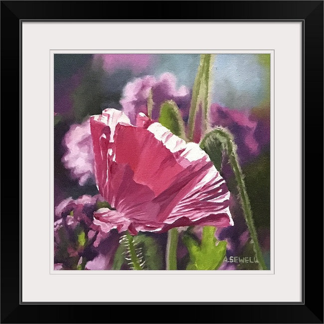 "Poppy Triplets - Purple" - 10"x10" signed Giclee art print from oil painting.