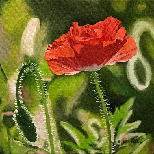 "Poppy Triplets - Red" -  10"x10" signed Giclee art print from oil painting.