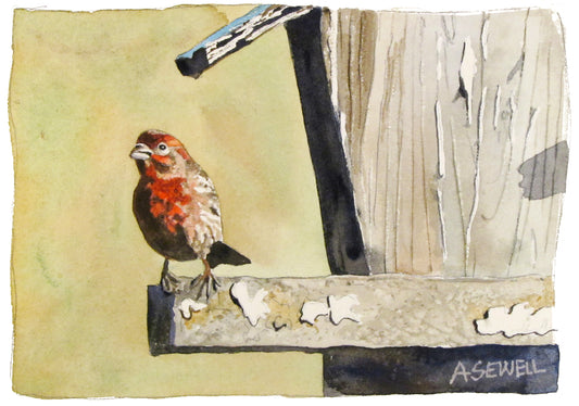 Little Red Finch - 8" x 12" A giclee reprod. by Andy Sewell