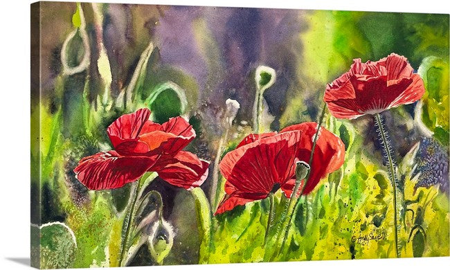 "Red Poppy Trio" - 16"x 27" an Original watercolor or Giclée signed print of red poppies glowing in the sun