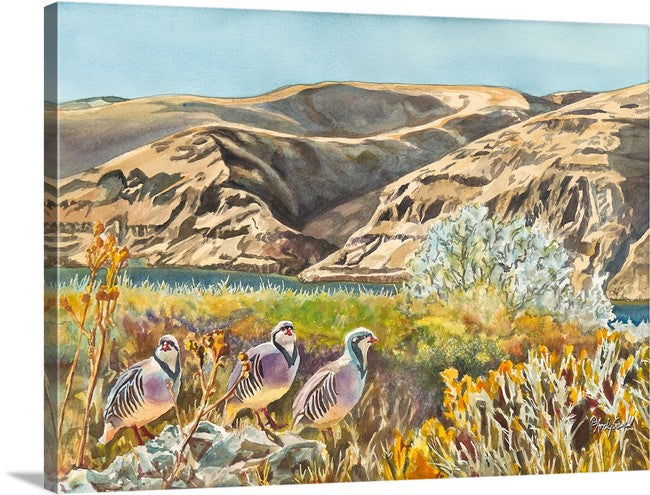 "River Chukar Trio" - An open ed. Giclee reprod. of Chukars on the river.