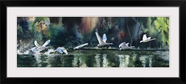 "Seven Swans" - 70x26 Canvas or Paper Giclée art print of Sevens Swans in flight.