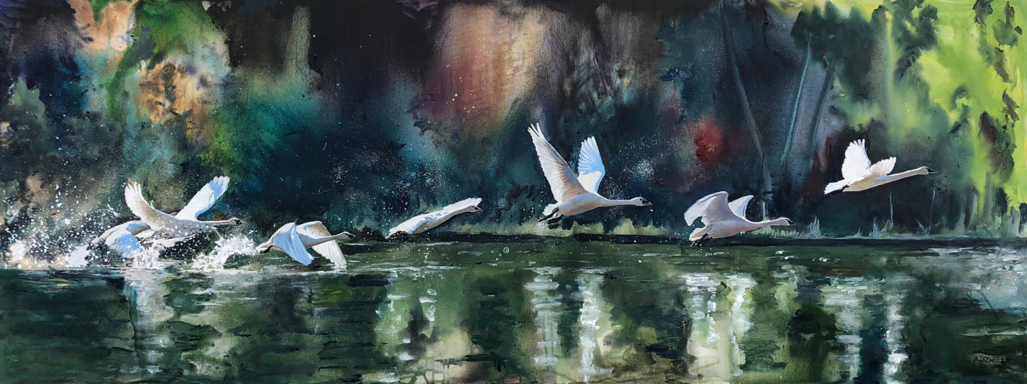 "Seven Swans" - 70x26 Canvas or Paper Giclée art print of Sevens Swans in flight.