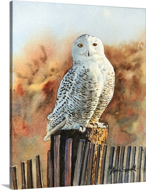 "The Snowy Owl" watercolor giclee reprod. signed ed. print