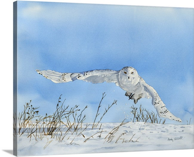 "Snowy Owl Swoop" watercolor giclee reprod. ltd. ed. s/n print