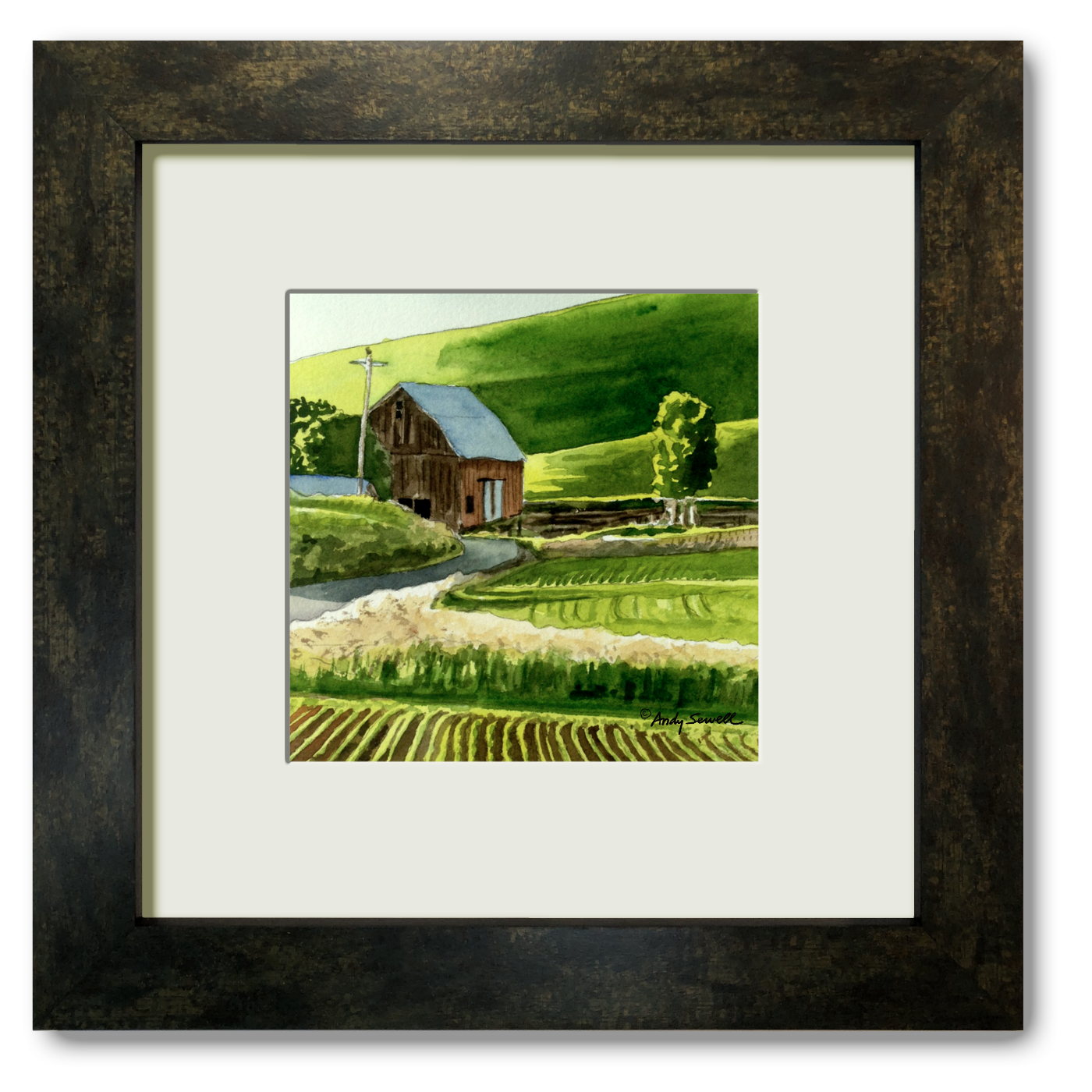 "Spring Country Lines " - 6"x6" Original watercolor or signed edition giclee art print from an original watercolor
