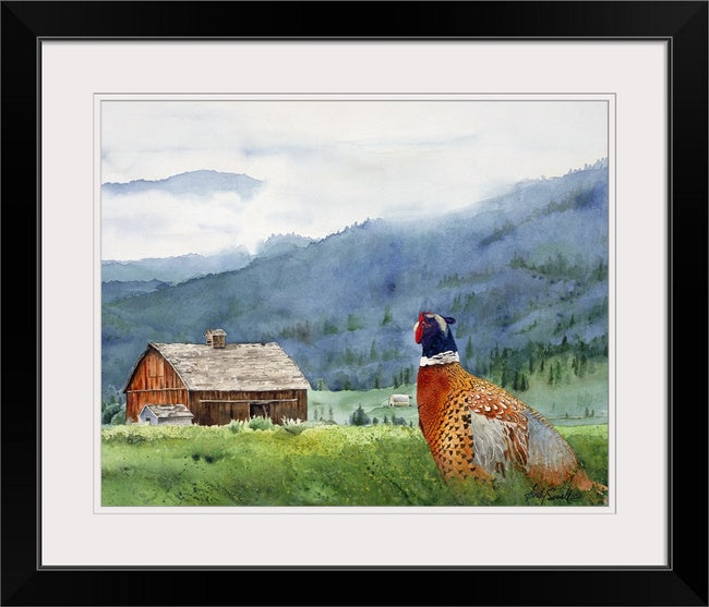 "Springtime Ringneck" - A ltd. edition s/n Giclee watercolor print of Ringneck Pheasant- by Andy Sewell