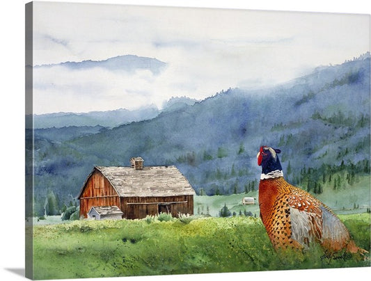 "Springtime Ringneck" - A ltd. edition s/n Giclee watercolor print of Ringneck Pheasant- by Andy Sewell