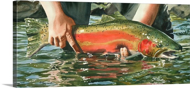 "Colors of the River" (Steelhead) - a ltd. edition s/n giclee art print from an original watercolor of the fabulous Steelhead (see video below)