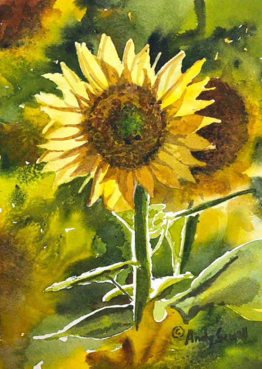 "Sunflower Sunshine" Original 7x10 or framed 11x14 watercolor or giclee print