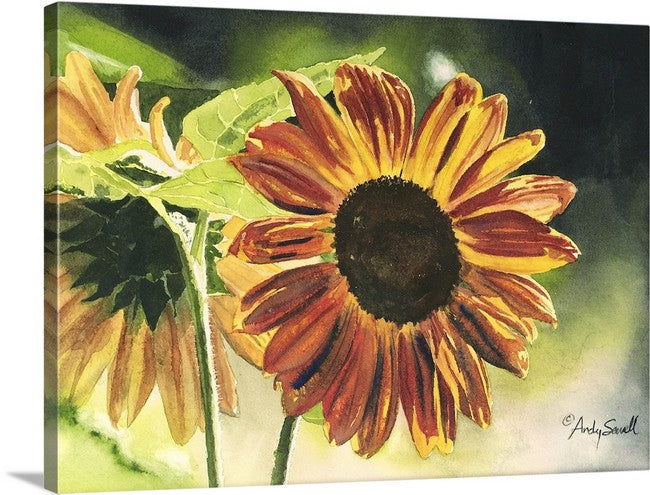 "Sunflower Glow" - 12x16 original watercolor or giclee print