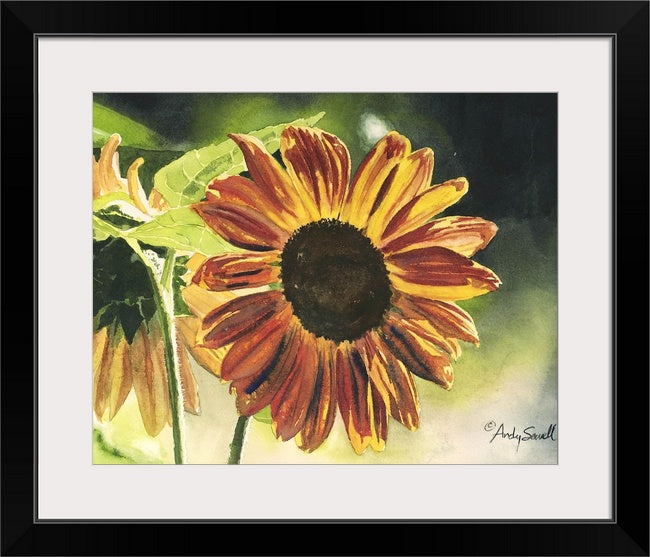 "Sunflower Glow" - 12x16 original watercolor or giclee print