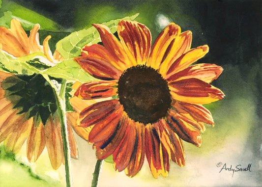 "Sunflower Glow" - 12x16 original watercolor or giclee print