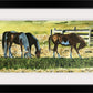 "Fresh Hay" - 7x15 Original watercolor or Giclée art print of horses having a bit of hay.