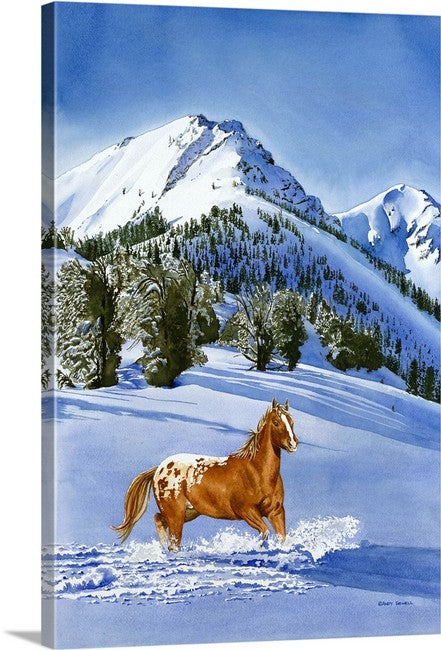 "Winter Blanket" - 20"x30" A signed Giclee art print from a watercolor of an Appaloosa running in the snow.