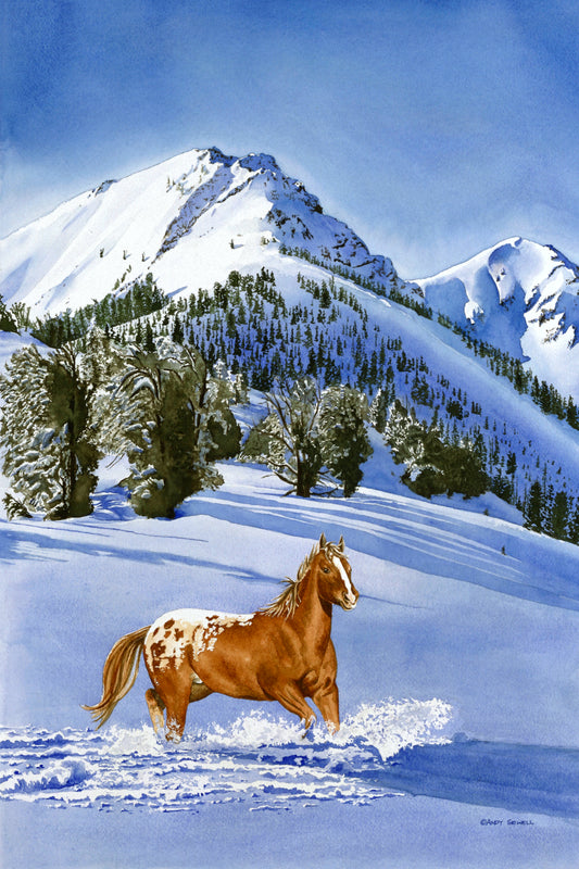 "Winter Blanket" - 20"x30" A signed Giclee art print from a watercolor of an Appaloosa running in the snow.