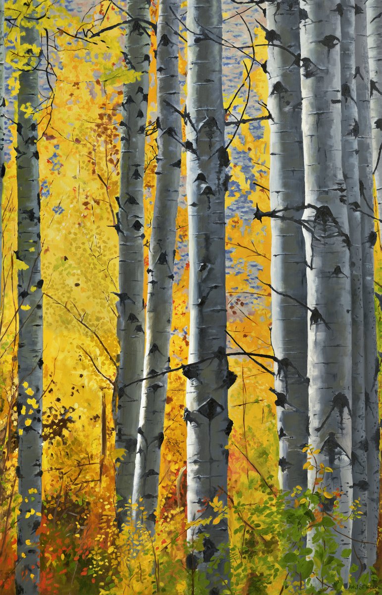 Art Prints: Aspen Trees