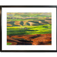 "Palouse Spring Morning Light" 24x36 - a giclee reprod. from oil painting of the Northwest Palouse country landscape