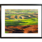 "Palouse Spring Morning Light" 24x36 - a giclee reprod. from oil painting of the Northwest Palouse country landscape